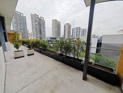 38 Jervois (D10), Apartment #581241091